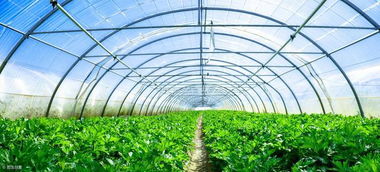 农业农村部办公厅关于印发 2019年农业农村绿色发展工作要点 的通知